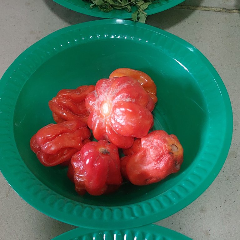 1000130125.jpg
