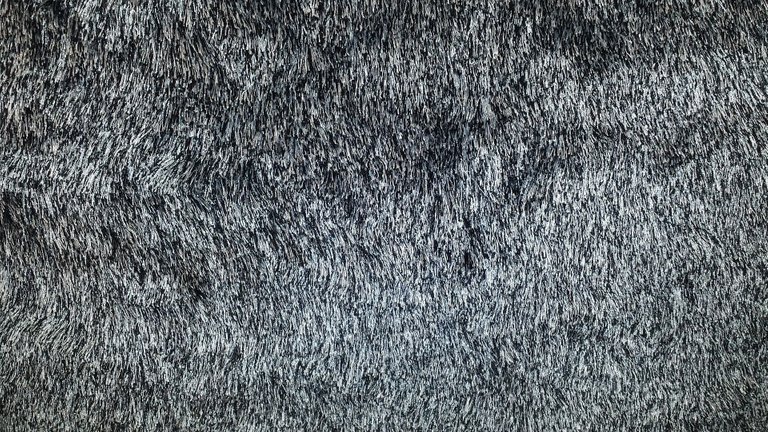 carpet-g06bd97448_1920.jpg