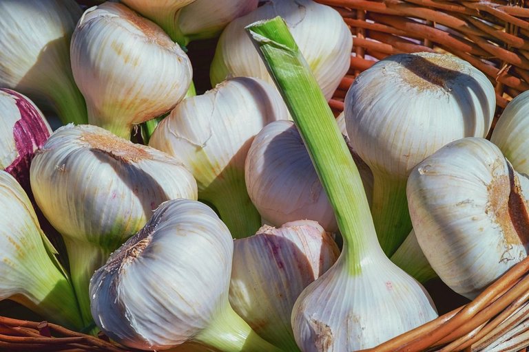 garlic-3471701_1280.jpg