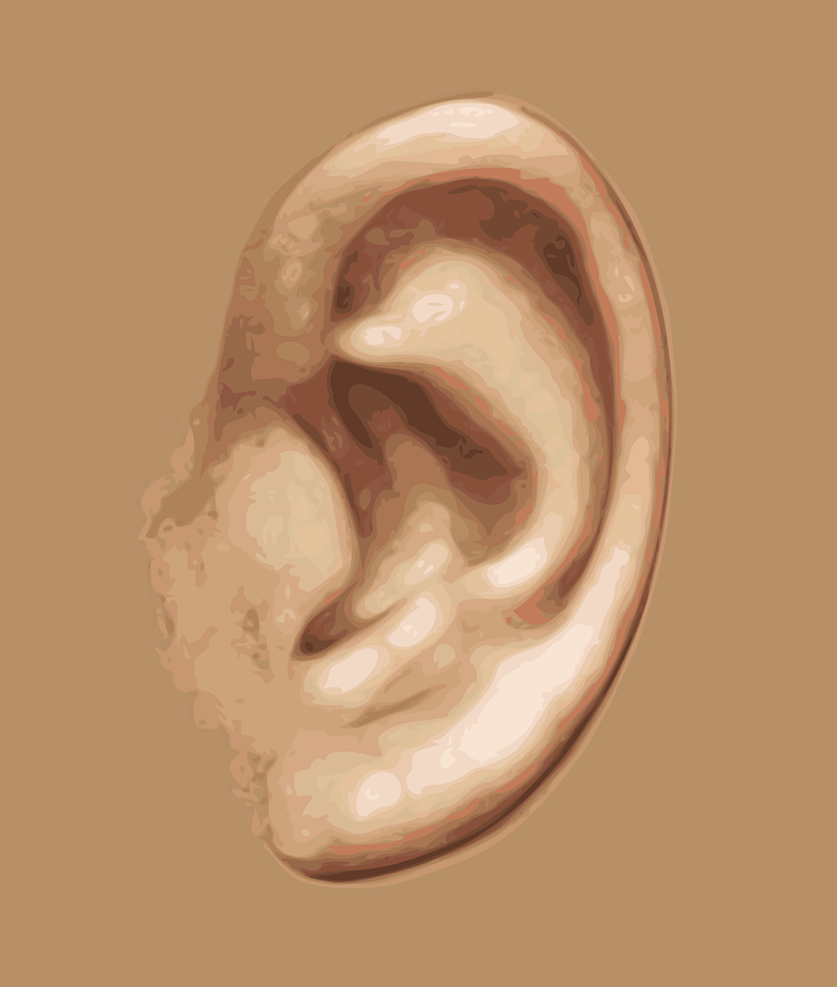 ear-159305_1280.png