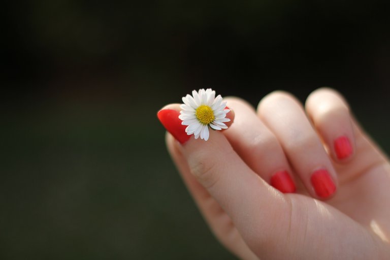 hand-gf245fcfb4_1920.jpg