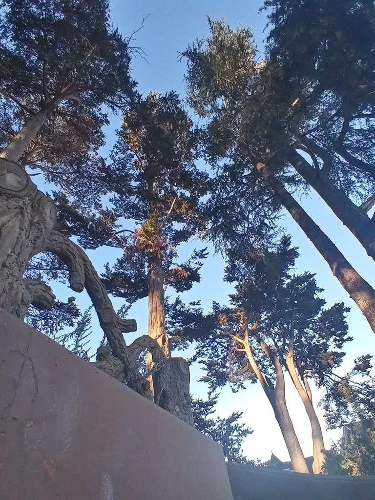 20231111_151702_HDR.jpg