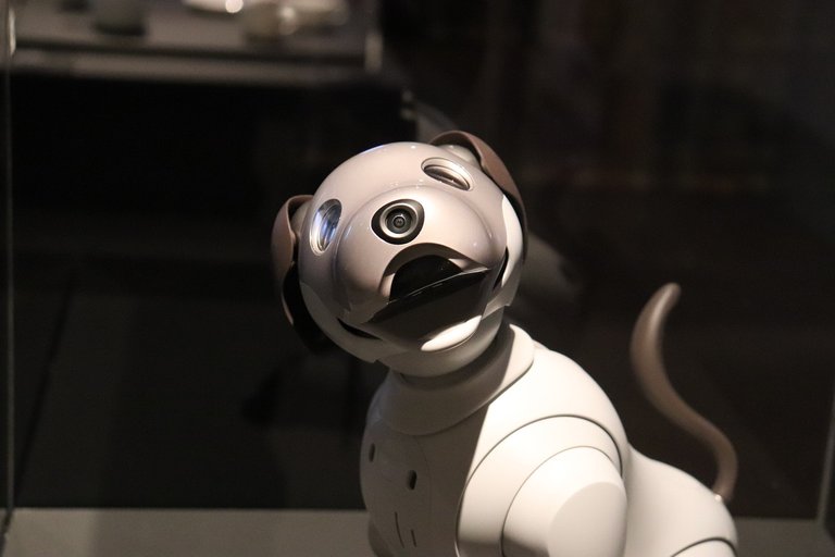 robot-g946ab6e7d_1280.jpg