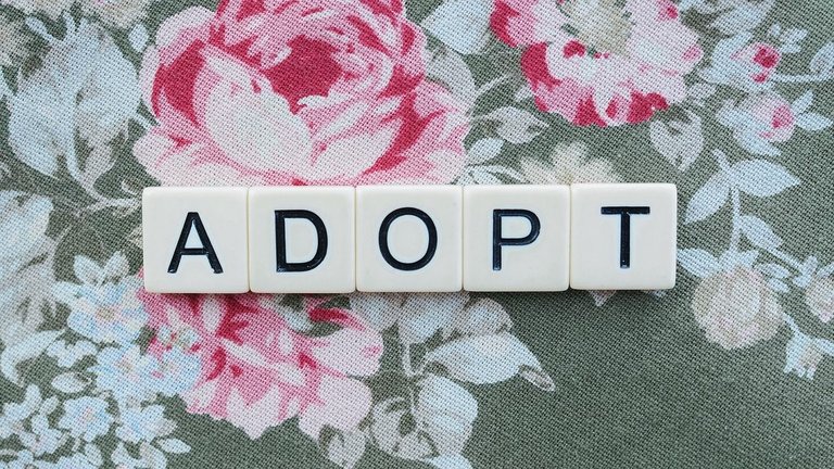 adopt-5339743_1280.jpg