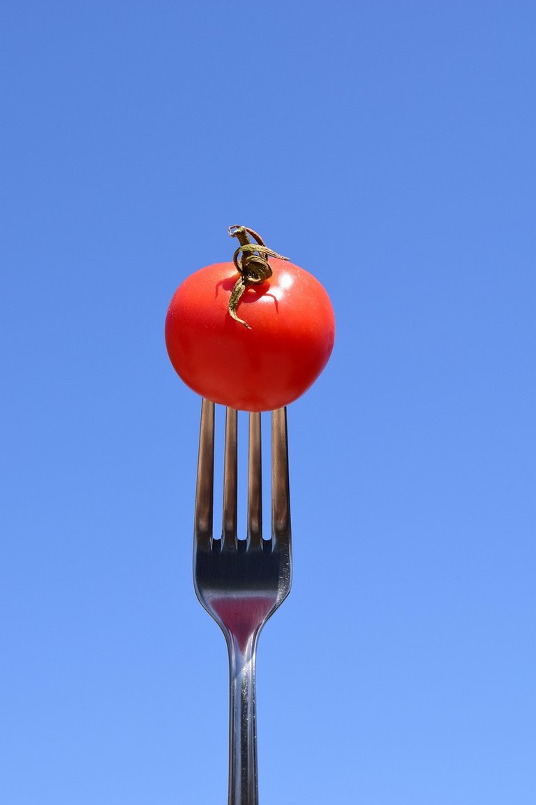 tomato-1608443_1280.jpg