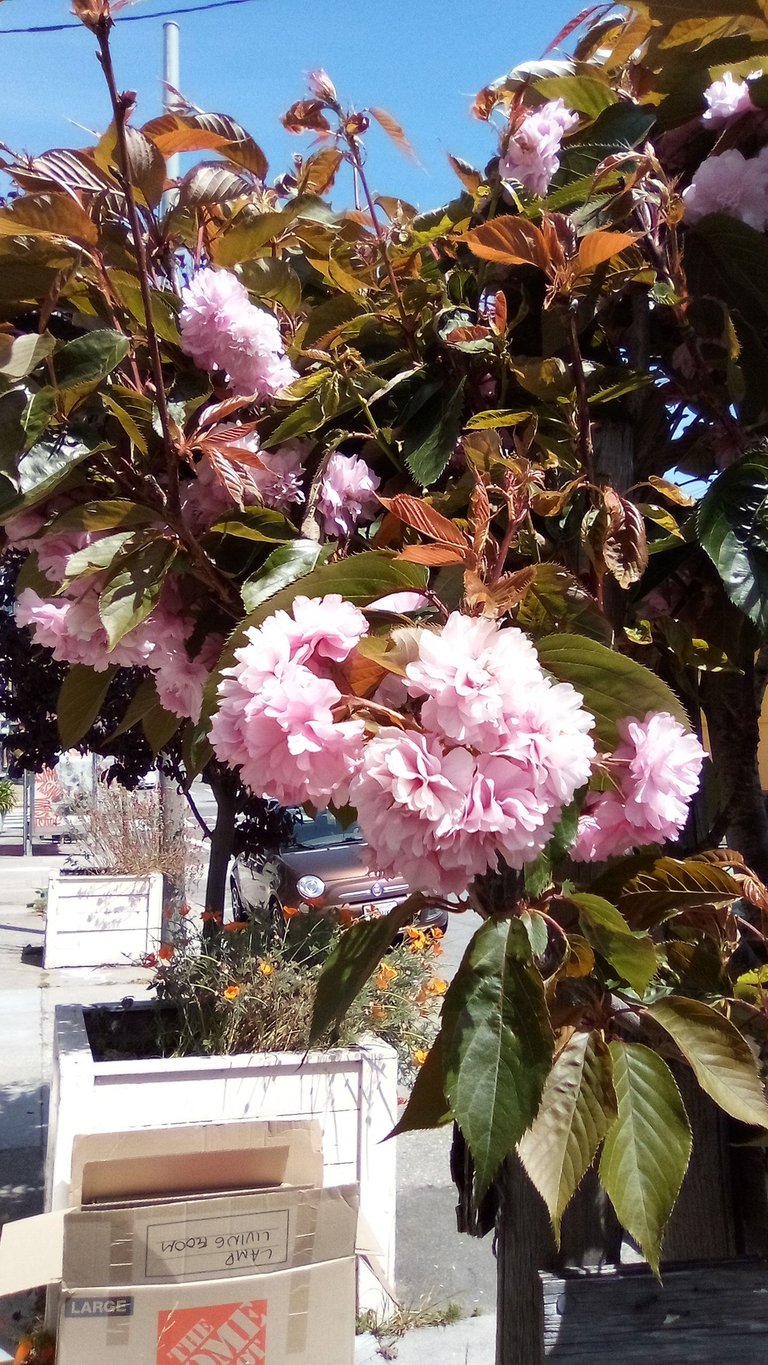 IMG_20250505_142325.jpg