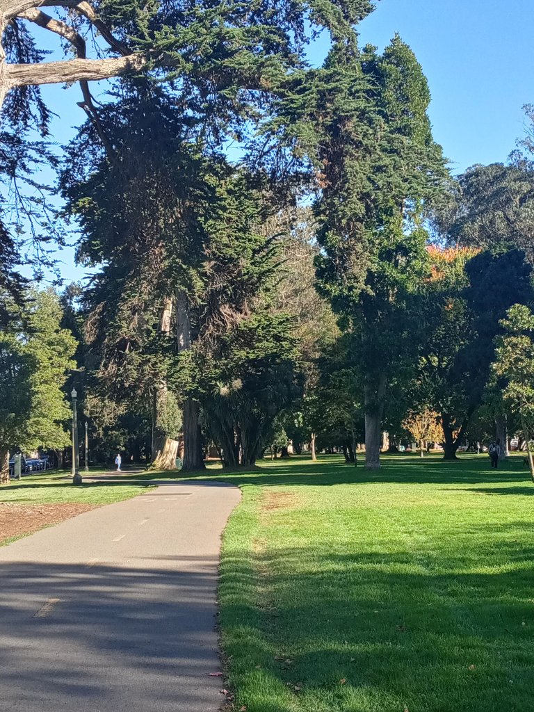20231120_131243_HDR.jpg