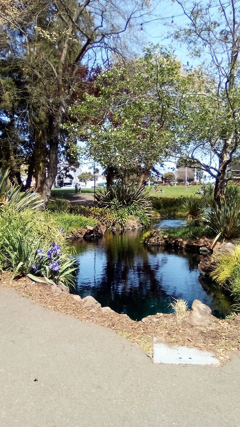 IMG_20250503_145115.jpg
