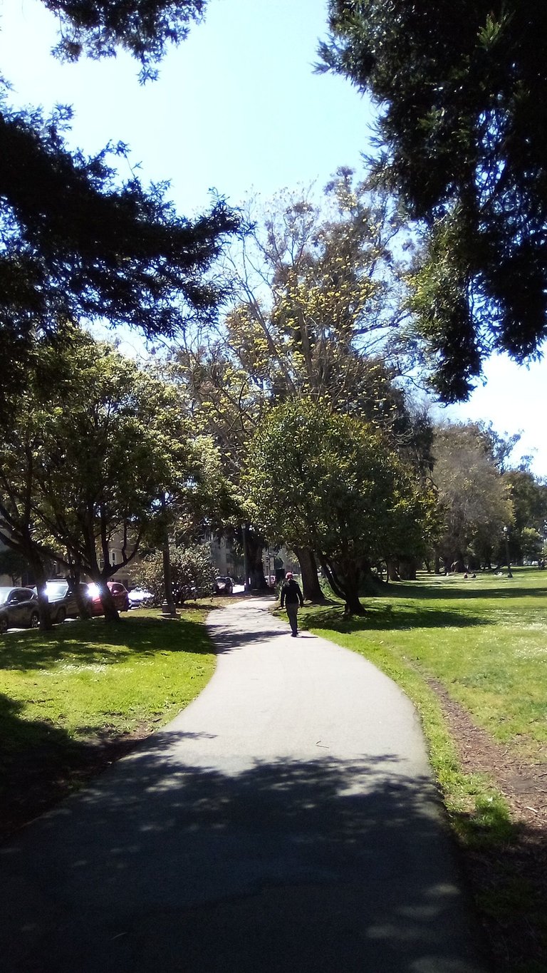 IMG_20250429_142625.jpg