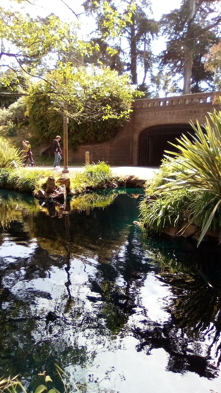 IMG_20250503_150210.jpg