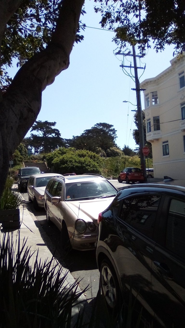 IMG_20250429_110345.jpg