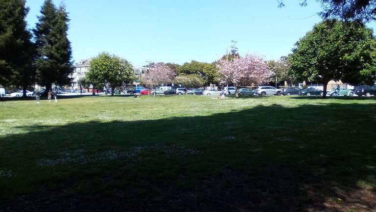 IMG_20250430_152549.jpg