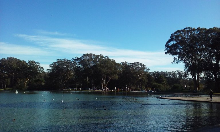20161112_140747.jpg