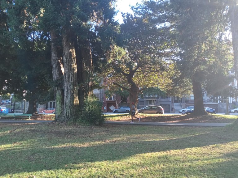 20231113_151647_HDR.jpg