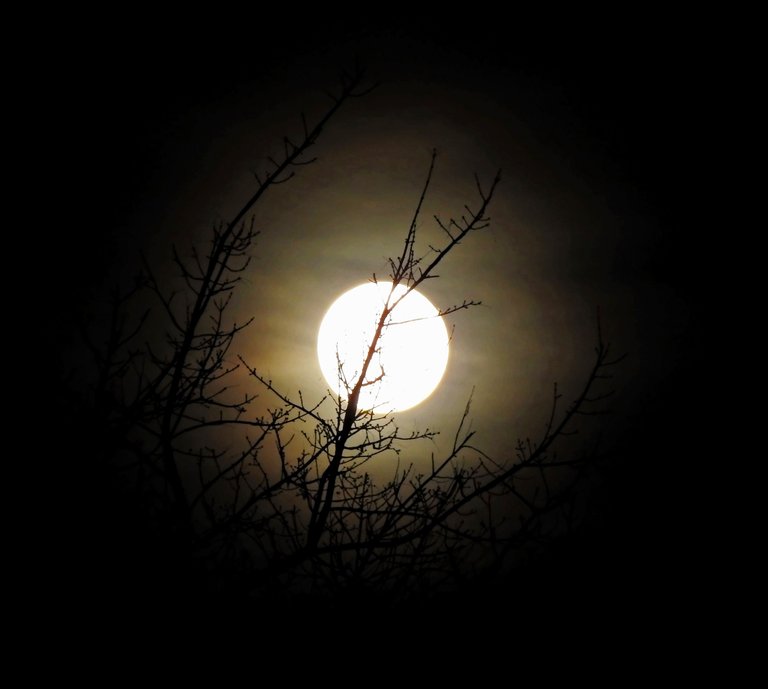 photographyloversmoon12-1-2022-3ok.jpg