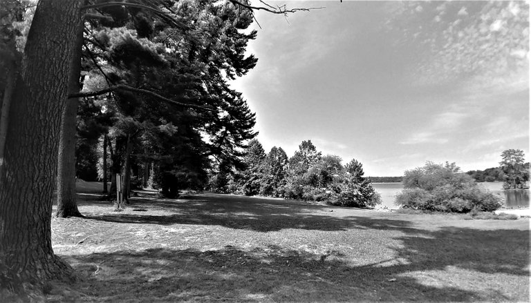 lochravenblackandwhite0323202012ok.jpg