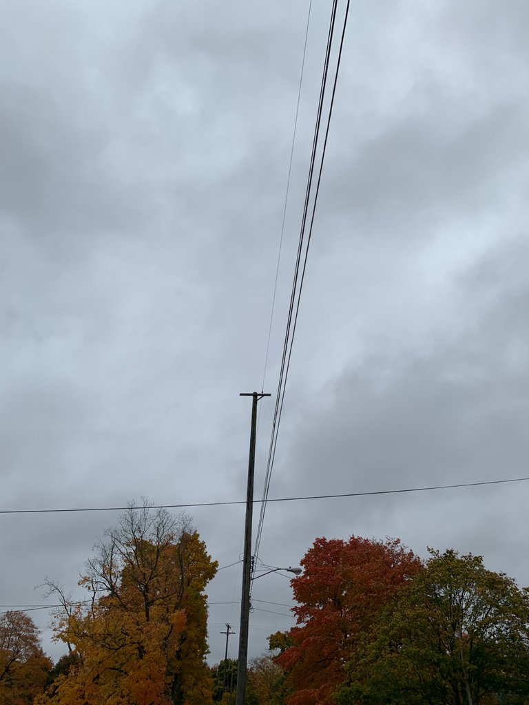 EA735B40-E82E-4C5A-B7F8-B342D8A95794.jpeg