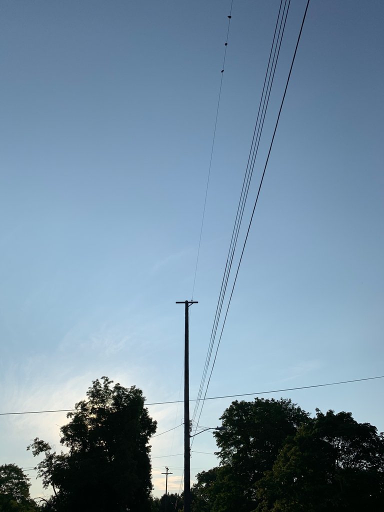 1C76339D072445699869AC953261B2EB.jpeg