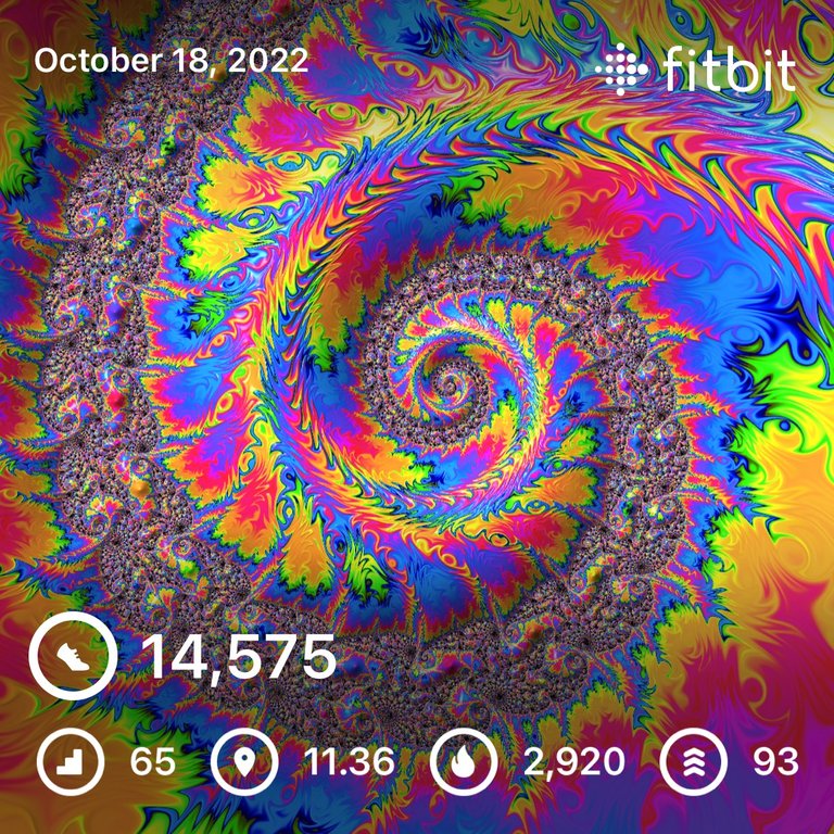 B2362E7D-9474-40E7-BEBC-B2F6BB430F7E.jpeg