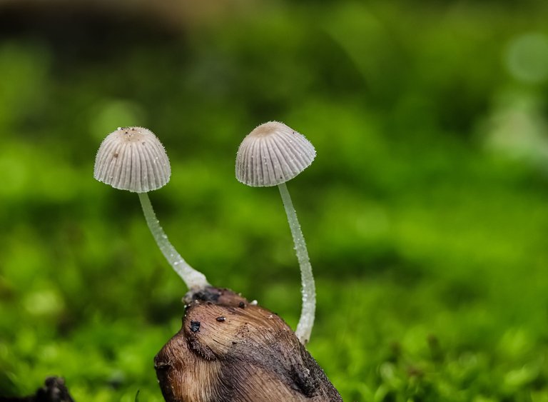 1673502975404.jpg