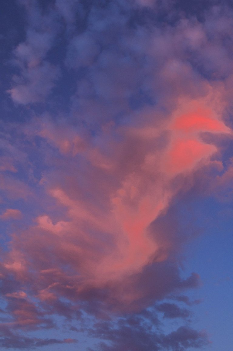 _DSC8060.jpg