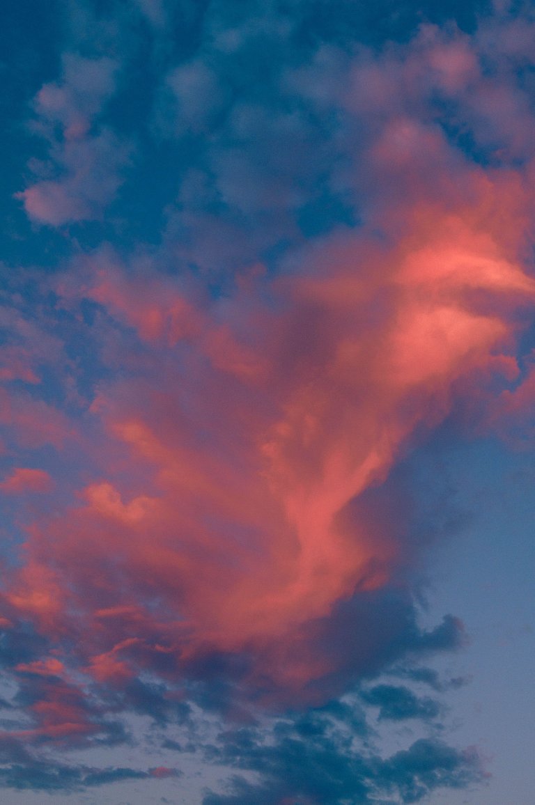 _DSC8061.jpg