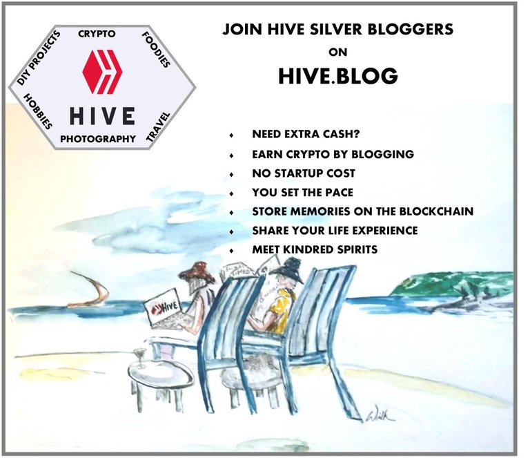 Silverbloggers Logo