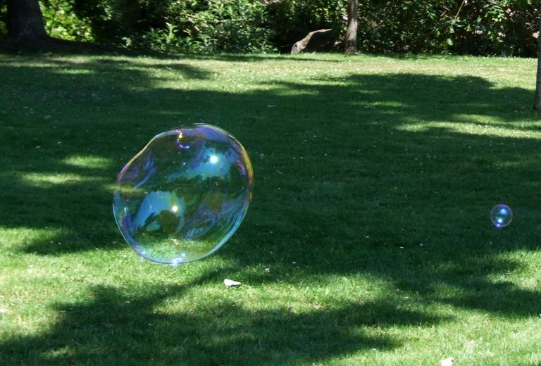 0733-Bubble.jpg