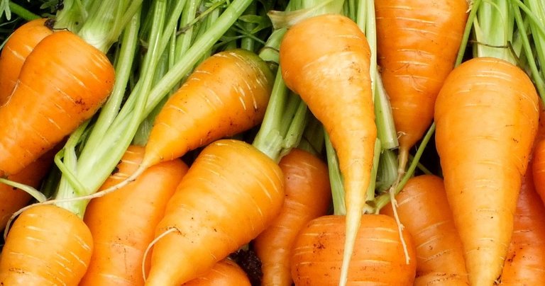 0796-Carrots.jpg