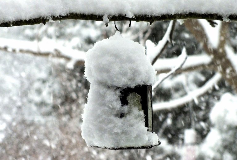 0159-SnowLantern.jpg