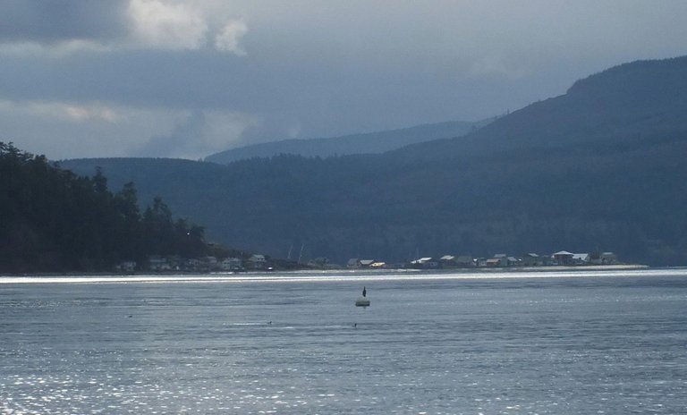 0451-View.jpg