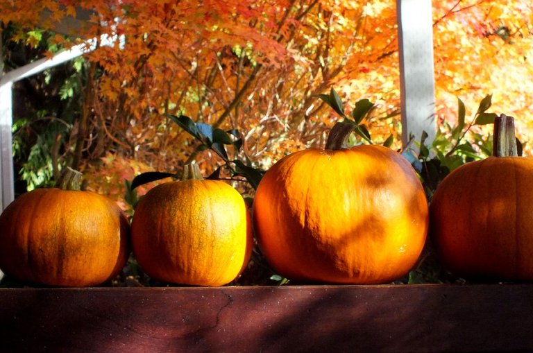 0130-Pumpkins.jpg