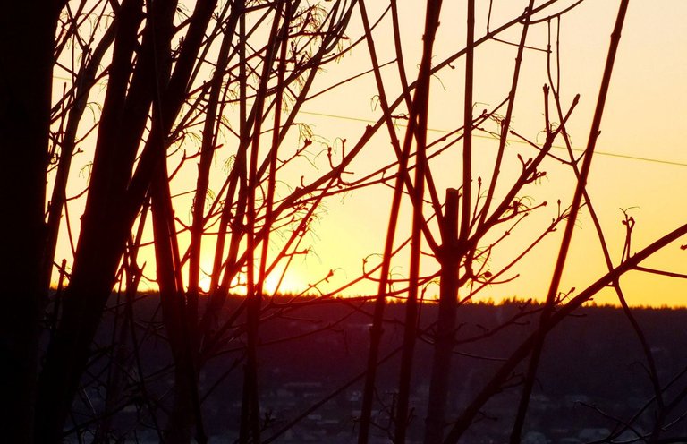 0713-Sunset.jpg