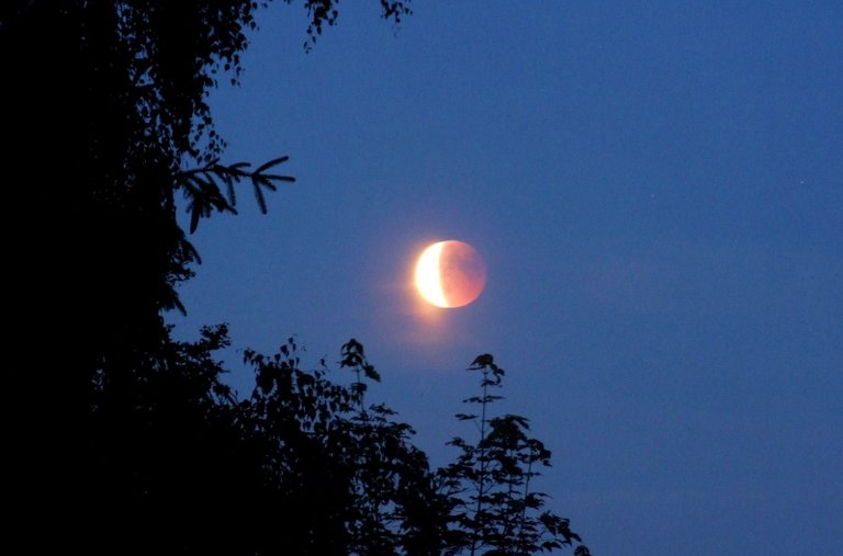 0411-LunarEclipse2011.jpg