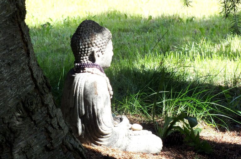 1004-Buddha.jpg