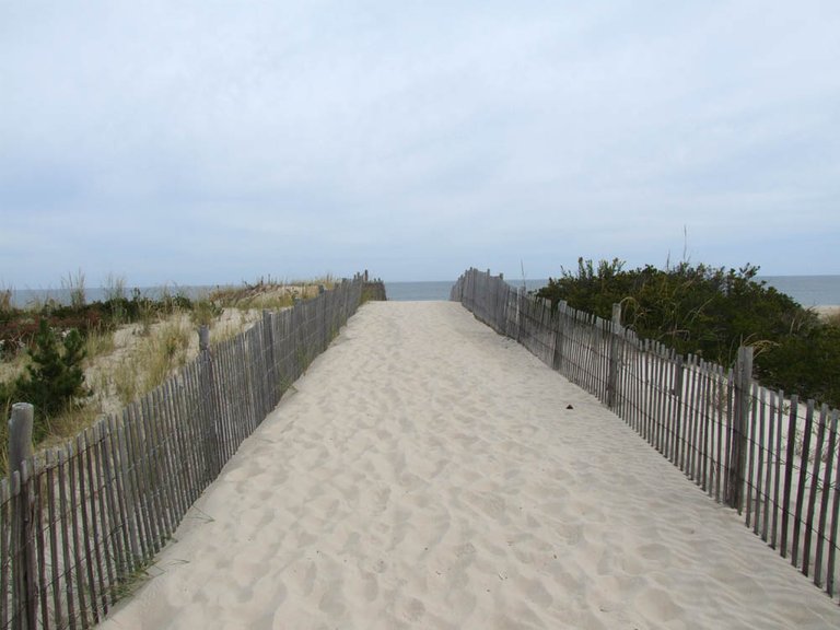 beach-path.jpg