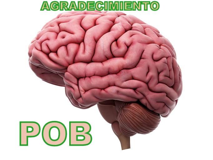 como_funciona_el_cerebro_humano_4959_orig.jpg