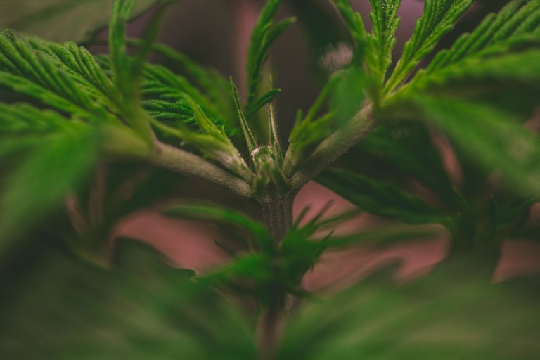 GDP-6270.jpg