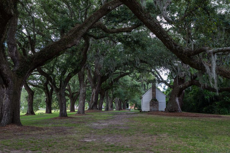 charleston-250.jpg