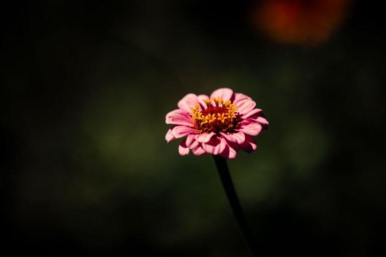 random-8695.jpg