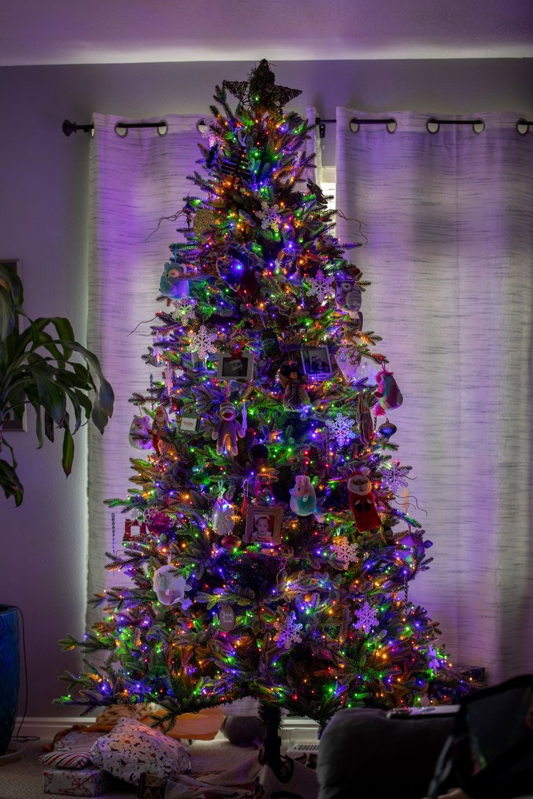 tree-9581.jpg