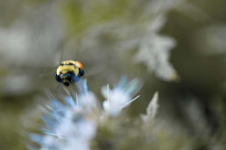 pictures-1352.jpg