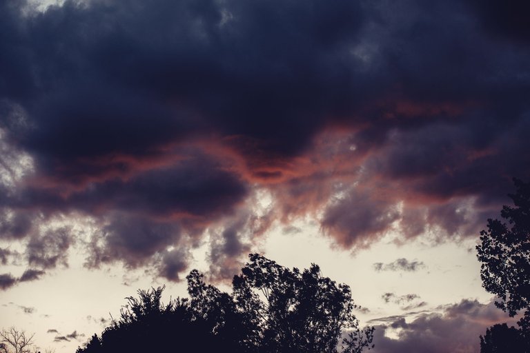 random-8655.jpg