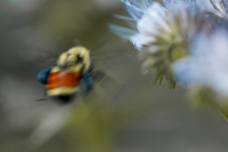 pictures-1344.jpg
