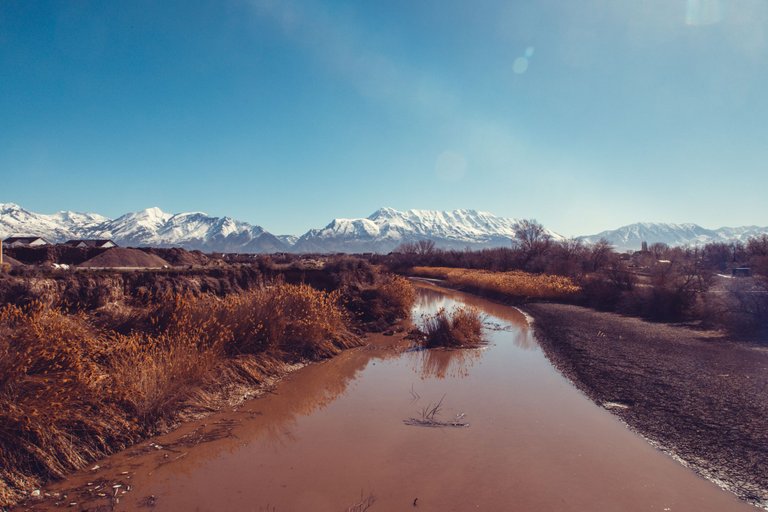 outside-3868.jpg