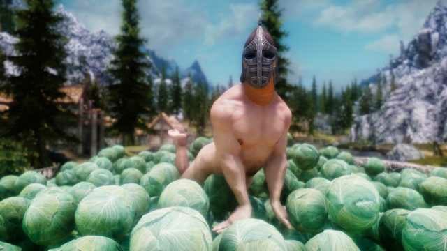 skyrim.jpg