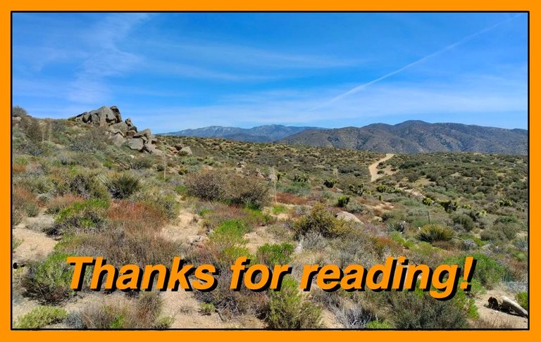 Horsesprings thanks.jpg