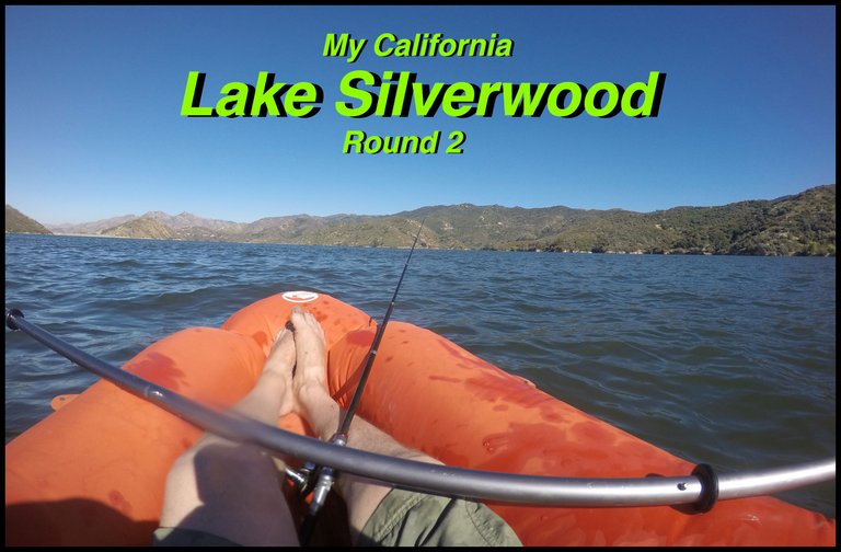 Silverwood2 cover.jpg