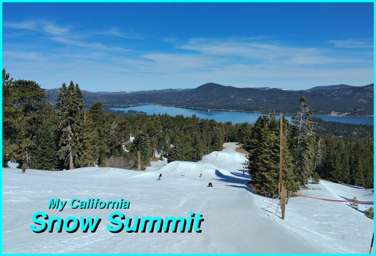 Snow Summit cover.jpg