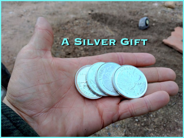 Silver gift cover.jpg